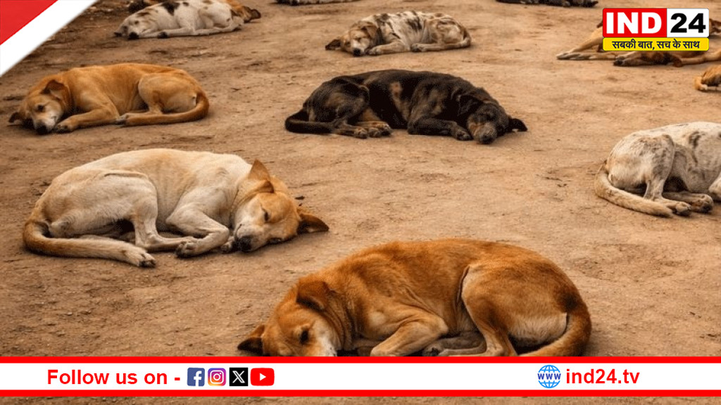   तेलंगाना : चुनावी वादा पूरा करने के लिए दी गई कुत्तों की 'बलि'