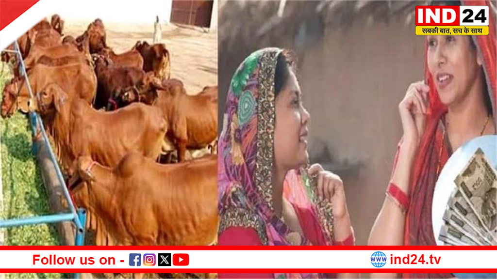 लाडली बहनों की आर्थिक उड़ान: गौपालन से बदलने वाली है किस्मत, खातों में आ सकते हैं 1-1 लाख रुपये