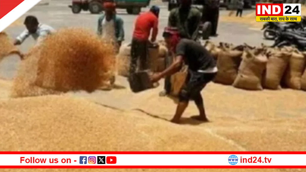 एमपी के किसानों के लिए खुशखबरी, 7 फरवरी से शुरू होगा गेहूं पंजीयन
