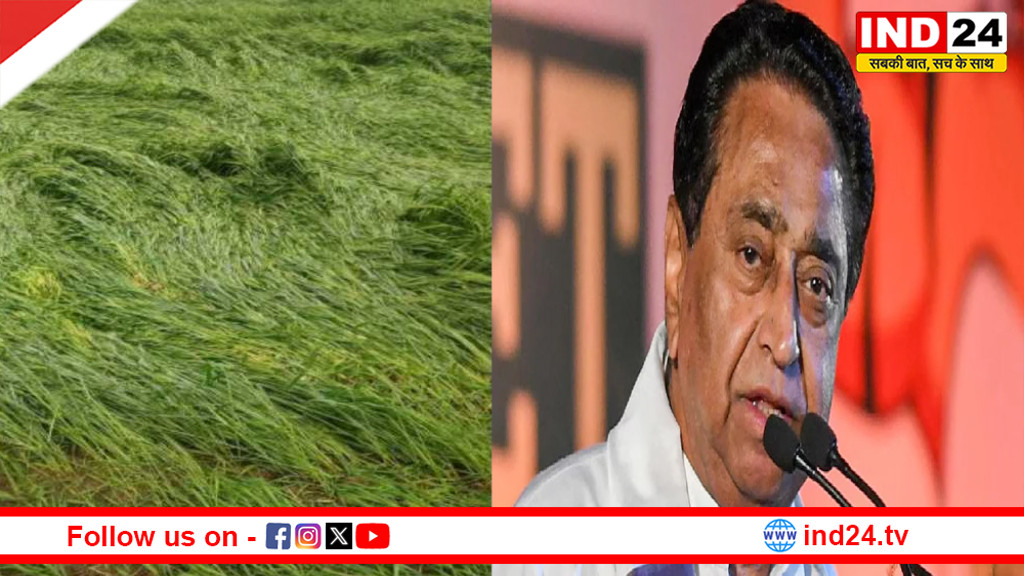 MP में ओलावृष्टि से फसलें बर्बाद,कमलनाथ ने पीड़ित किसानों को मुआवज़ा देने की मांग की