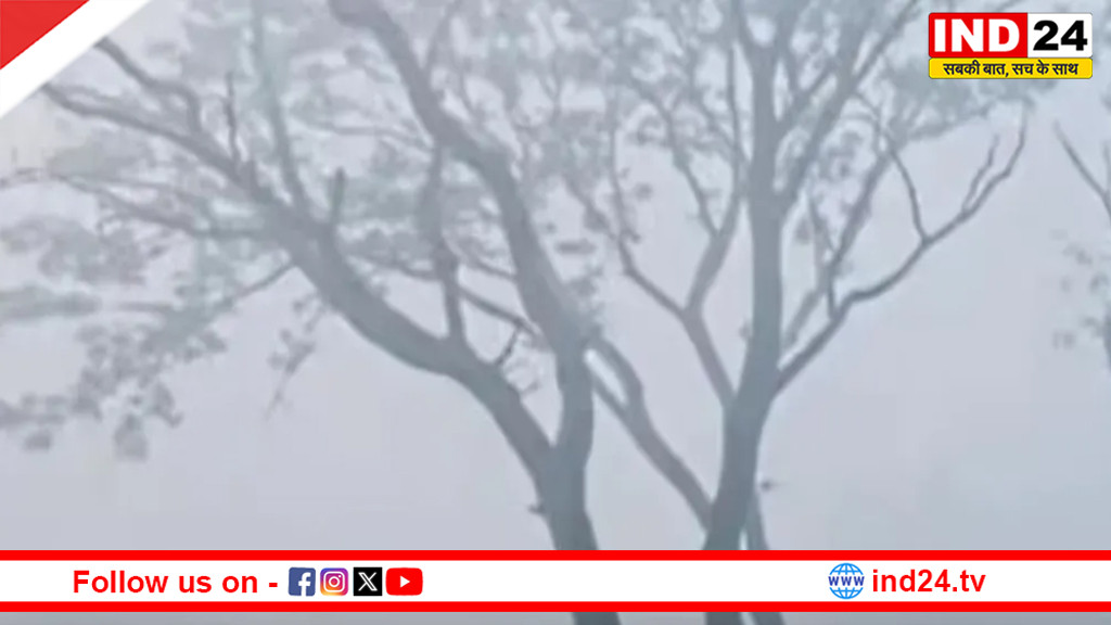 एमपी में 20 जिलों में घना कोहरा,कल से फिर बदलेगा मौसम