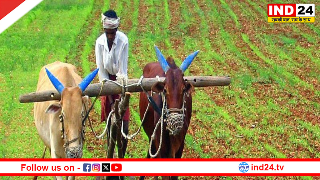 खटीमा में 125 एकड़ जमीन पर कार्रवाई: बिना नोटिस फसल जोतने के आरोपों से गरमाई सियासत