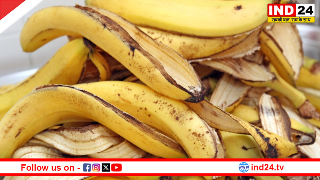केला खाकर छिलका फेंकने की गलती न करें, यह भी सेहत के लिए है वरदान