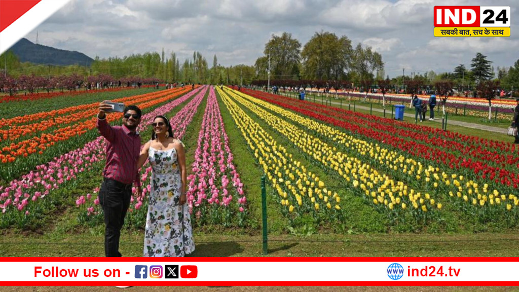 हिमाचल में खिला रंगों का समंदर: पालमपुर में खुला देश का दूसरा ट्यूलिप गार्डन