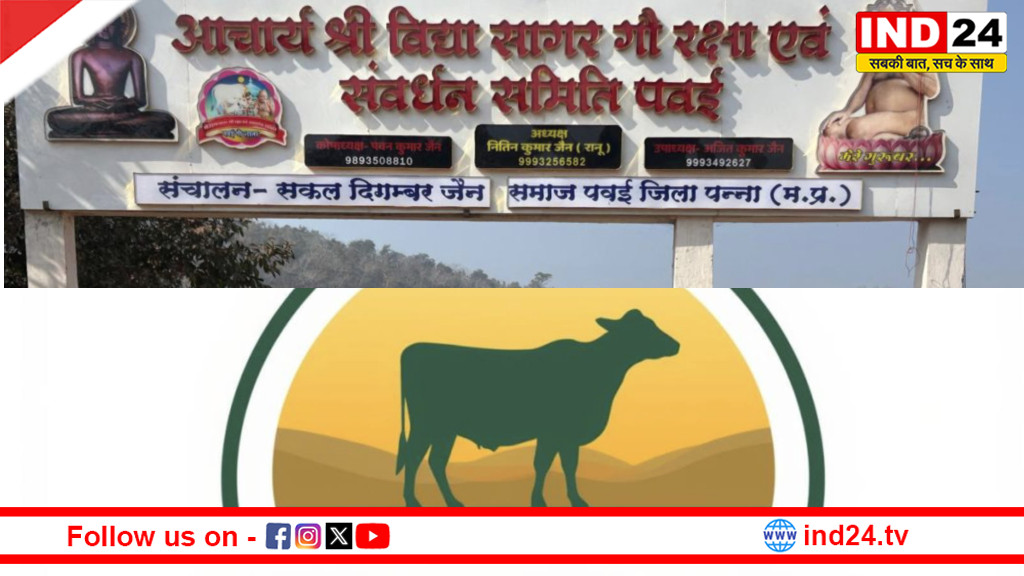 दक्षिण पन्ना वनमण्डल की पहल: पवई की श्री विद्यासागर गौशाला बनी पहली “गिद्ध अनुकूल गौशाला”