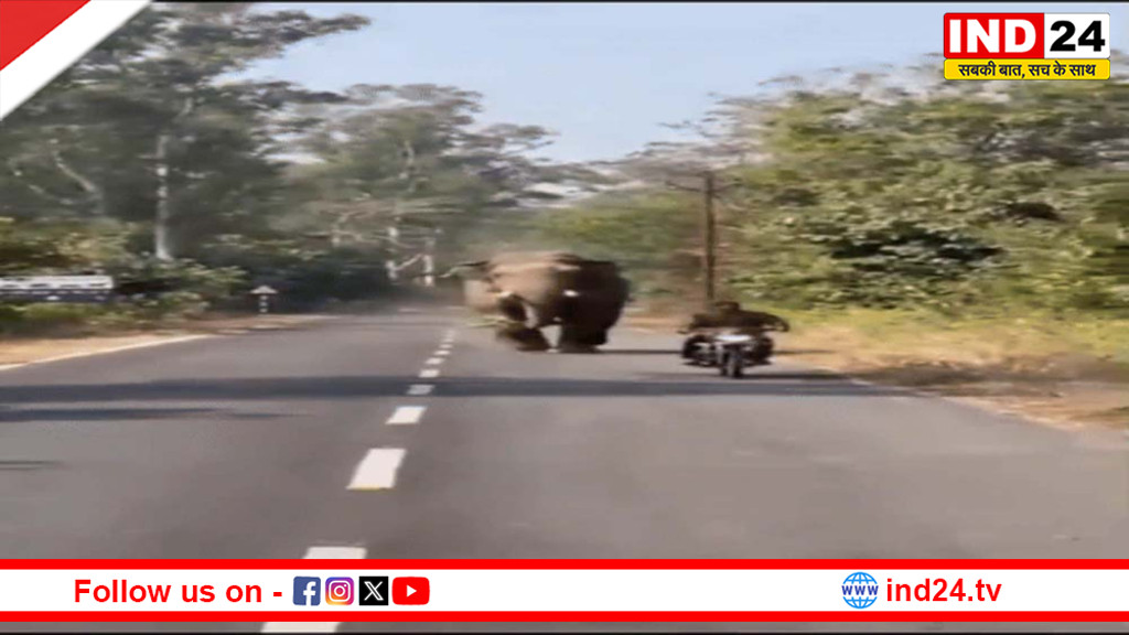 जिम कॉर्बेट में टस्कर हाथी का कहर: ढेला रोड पर बाइक सवार को दौड़ाया, वायरल वीडियो ने बढ़ाई दहशत