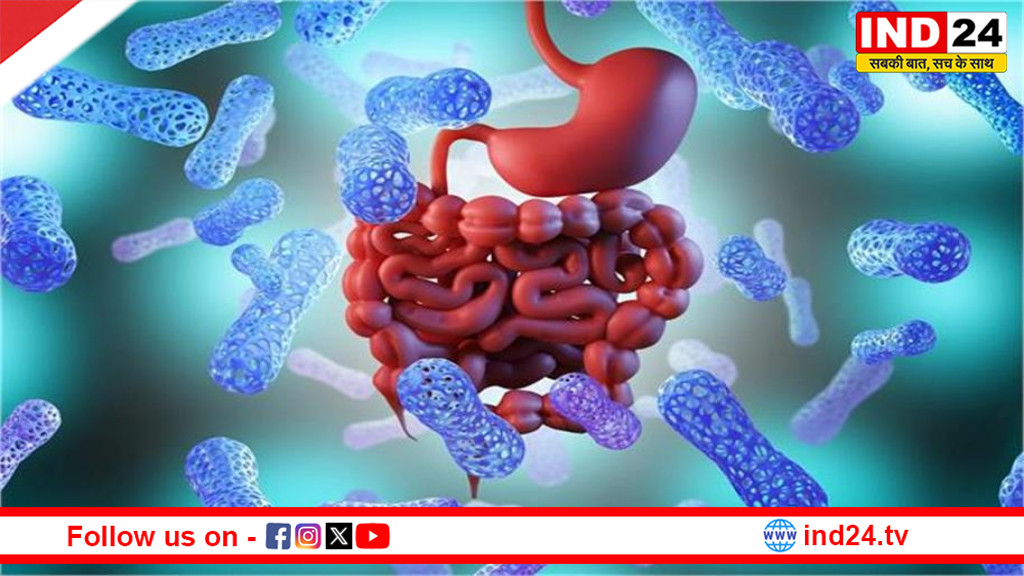 कैंसर इलाज में क्रांति: पेट के अच्छे बैक्टीरिया से होगा बीमारी का सफाया