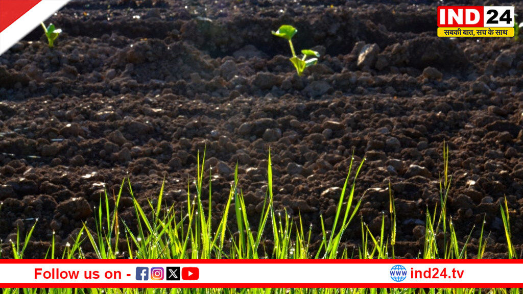 खतरे में मिट्टी की सेहत: ग्लोबल वॉर्मिंग से 70% सूक्ष्म जीव नष्ट, फसलों में कुपोषण बढ़ा, CSA की गंभीर चेतावनी