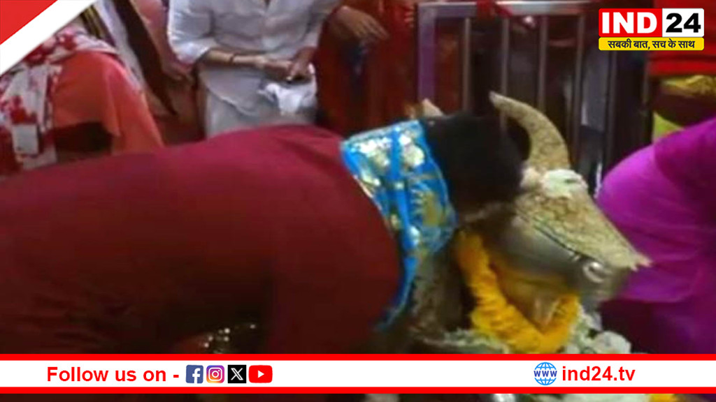 महाकाल की भस्म आरती में शामिल हुए क्रिकेटर कर्ण शर्मा और सिद्धार्थ कौल, लिया आशीर्वाद