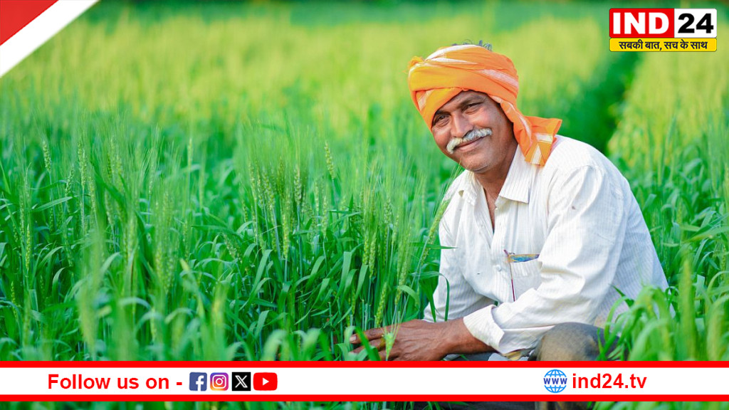 गेहूं समर्थन मूल्य पर बिक्री के लिए रजिस्ट्रेशन शुरू: किसानों के लिए बड़े अवसर का शुभारंभ