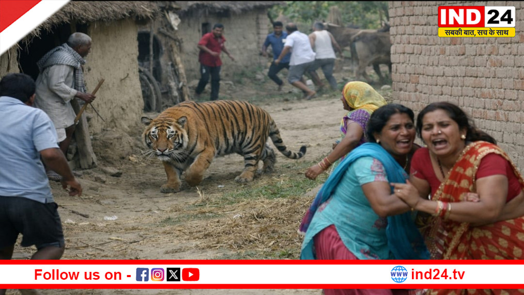 पन्ना के सिली गांव में बाघिन की दहाड़ से दहशत, वन विभाग अलर्ट