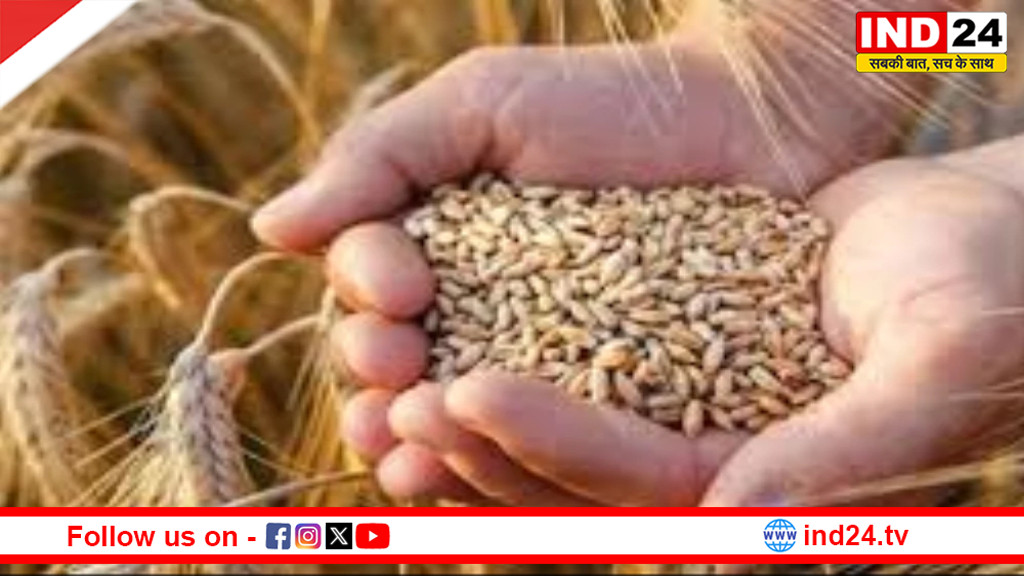 एमपी के किसानों के लिए राहत भरी खबर, MSP पर गेहूं खरीदी के लिए 7 फरवरी से पंजीयन शुरू