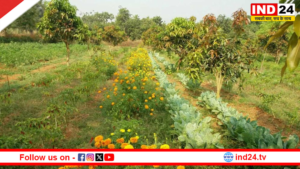 प्राकृतिक खेती से समृद्धि की राह: किसानों की आय बढ़ाने को योगी सरकार का नया अभियान