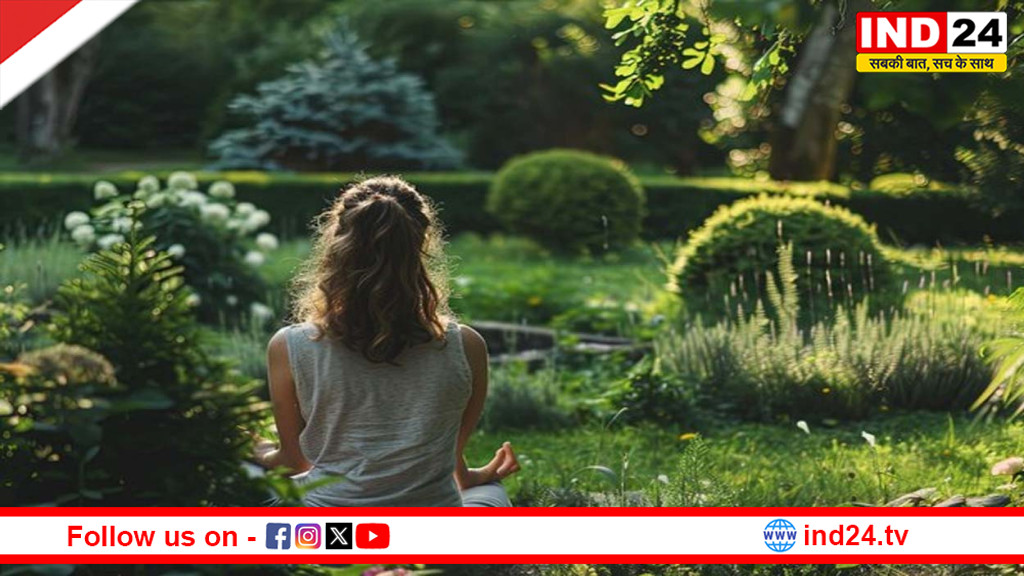 हरी-भरी वादियों का जादू: कैसे प्रकृति कुछ ही मिनटों में बदल देती है आपका दिमाग और मूड