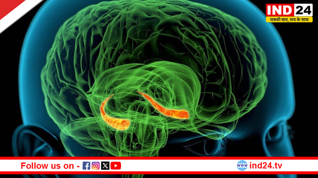 सुपर-एजर्स का रहस्य उजागर: उम्र के साथ भी कैसे जवान रह सकता है दिमाग