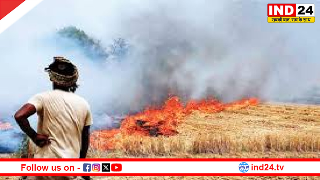 गर्मी और प्रदूषण से धान उत्पादन पर संकट, उत्तर भारत में भारी गिरावट का अनुमान; बंगाल में स्थिरता की उम्मीद