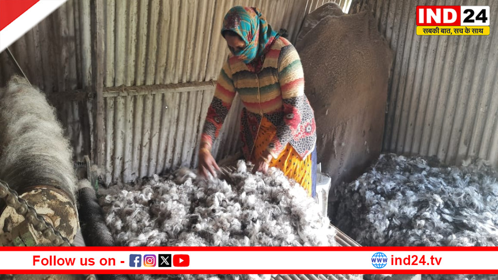 उत्तरकाशी के वीरपुर गांव में पारंपरिक ऊनी उद्योग को नई पहचान, कारीगरों को रोजगार और राज्य सरकार का समर्थन