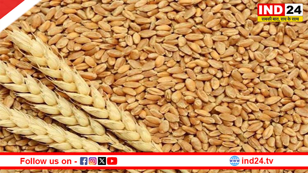 रबी विपणन सत्र 2026-27 के लिए सरकार ने तय किया 3.03 करोड़ टन गेहूं खरीद लक्ष्य