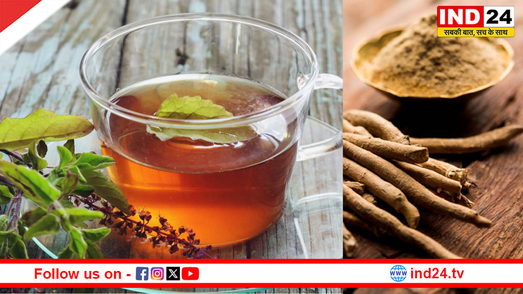 अश्वगंधा, तुलसी और सहजन की पत्तिया: रसोई में छिपे तीन औषधीय खजाने, कई बीमारियों से बचाने में सहायक