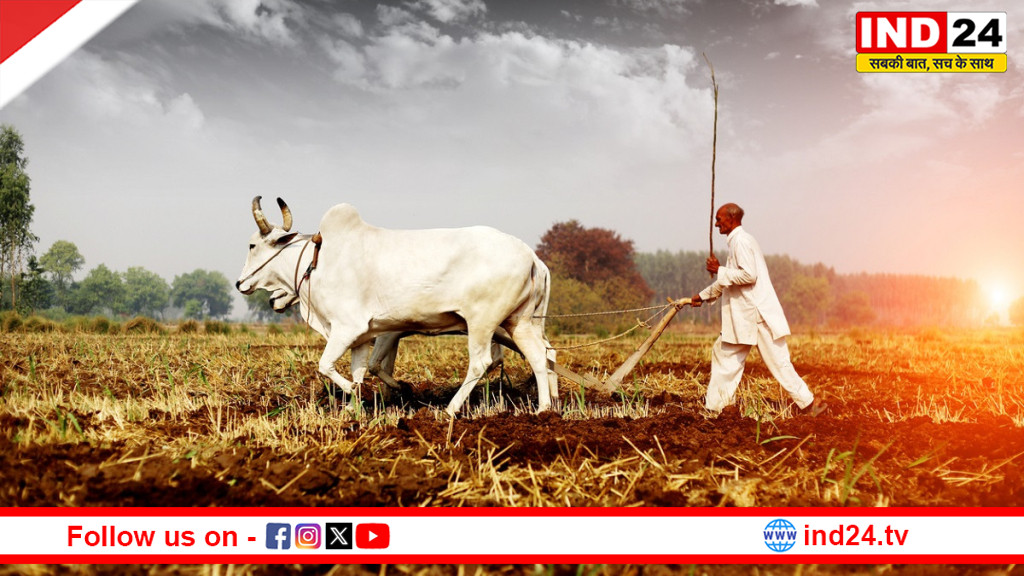 5 लाख भूमिहीन परिवारों को 500 करोड़ की सौगात, बैगा-गुनिया परिवार भी होंगे लाभान्वित