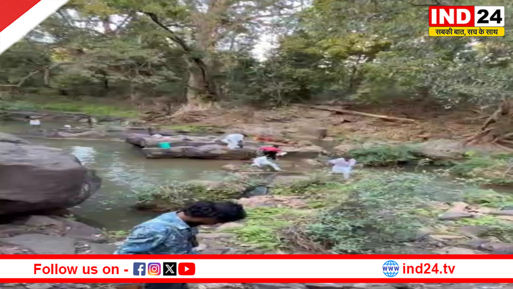 छतरपुर में रोजा इफ्तार के दौरान मधुमक्खियों का हमला, हथनी कुंड में मची भगदड़