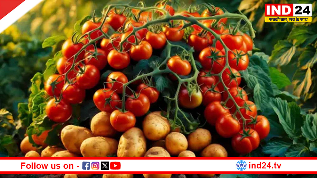 एक ही पौधे में उगेंगे टमाटर और आलू: वाराणसी का नवाचार बदल देगा खेती का भविष्य