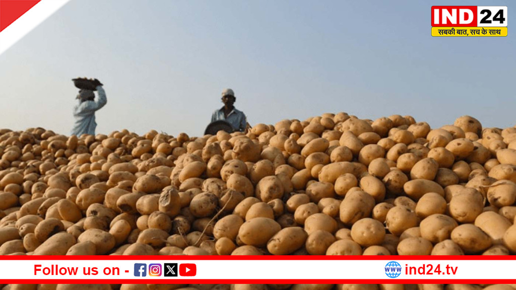 आलू की बंपर पैदावार बनी मुसीबत: लागत से आधे दाम, सड़कों पर फेंकने को मजबूर किसान