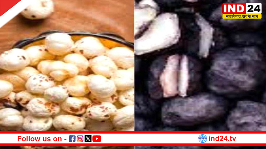 एमपी में ‘ग्रीन गोल्ड’ की एंट्री: भोपाल, इंदौर और नर्मदापुरम में होंगे मखाना-सिंघाड़ा महोत्सव