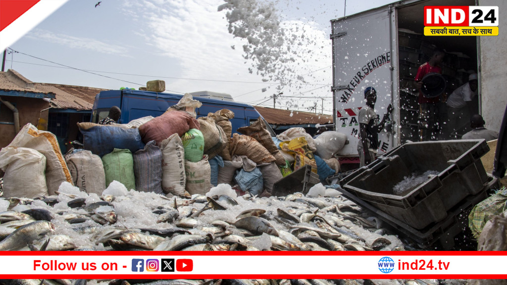 डब्ल्यूटीओ में भारत की जोरदार पैरवी: मत्स्य पालन सब्सिडी पर 25 साल की छूट की मांग