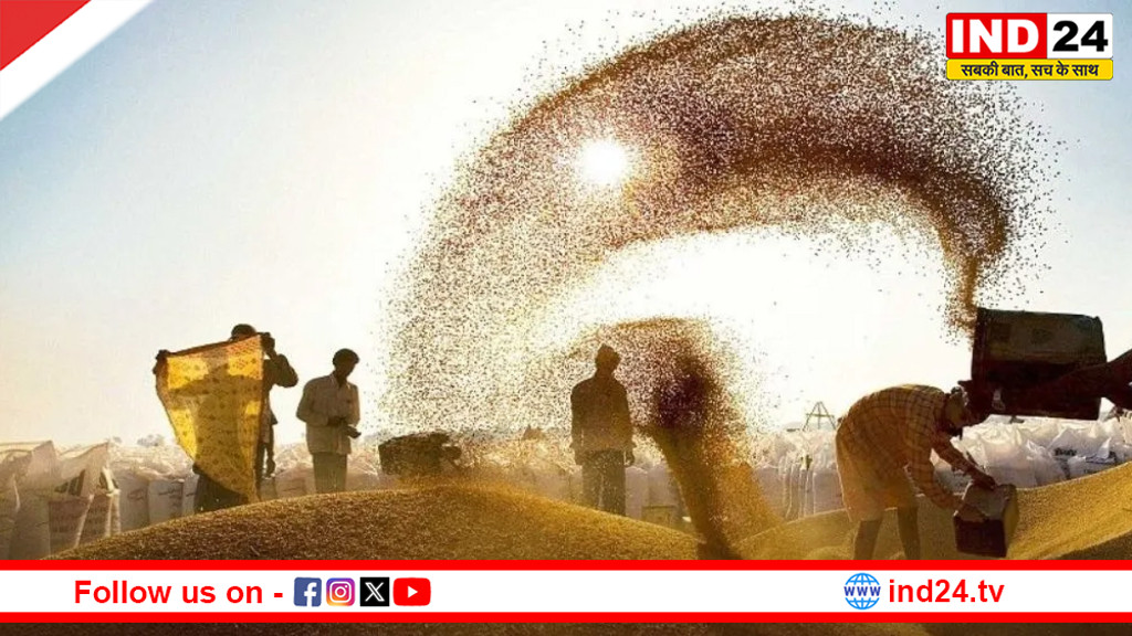 एमपी में गेहूं खरीदी की तैयारी पूरी, 1 अप्रैल से दो चरण में शुरू होगी खरीदी