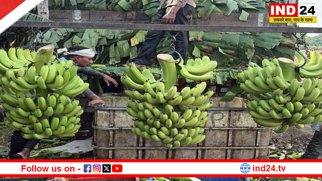 ईरान-इजराइल जंग का असर: पोर्ट पर फंसे कंटेनर, सड़ रहा एमपी का केला, निर्यात ठप