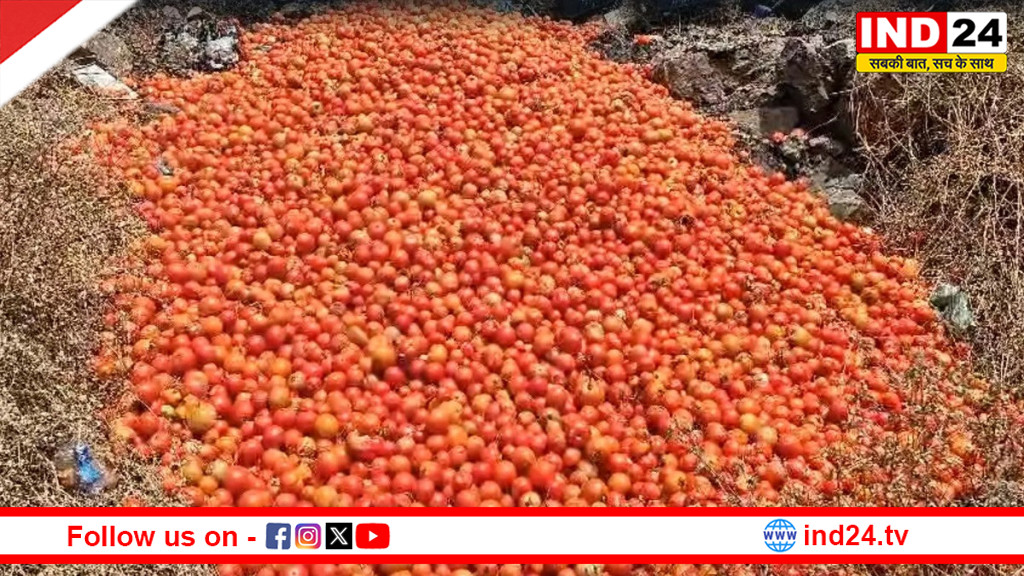 महाराष्ट्र : 4 रुपए किलो मिल रहे दाम, गुस्से में किसानों ने सड़क पर फेंके टमाटर