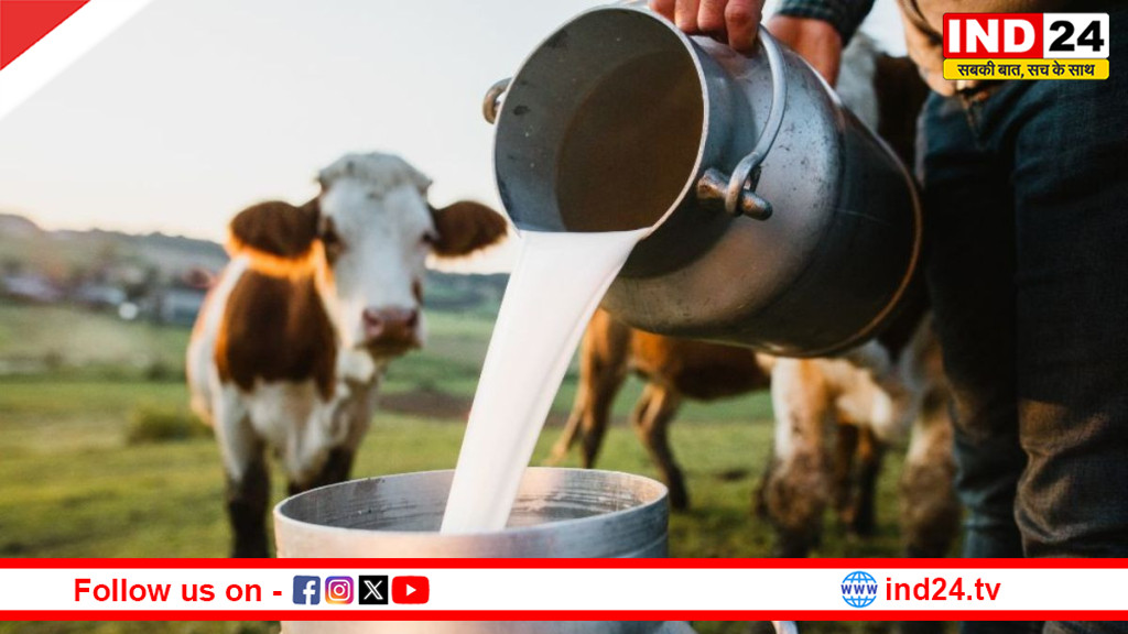 दूध उत्पादन में ऐतिहासिक छलांग: 2025 में भारत पहुंचा 24.7 करोड़ टन, ग्रामीण अर्थव्यवस्था को मिला नया बल