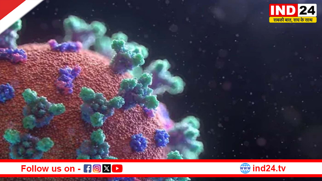 अदृश्य खतरे की दस्तक: सर्दी-जुकाम जैसा दिखने वाला HMPV वायरस क्यों बना चिंता का कारण