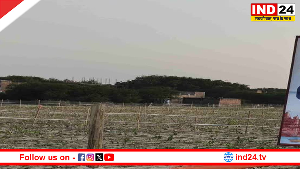 आज काशी बनाएगी बड़ा रिकॉर्ड, 1 घंटे में रोपे जाएंगे 3.16 लाख पौधे, CM रहेंगे मौजूद