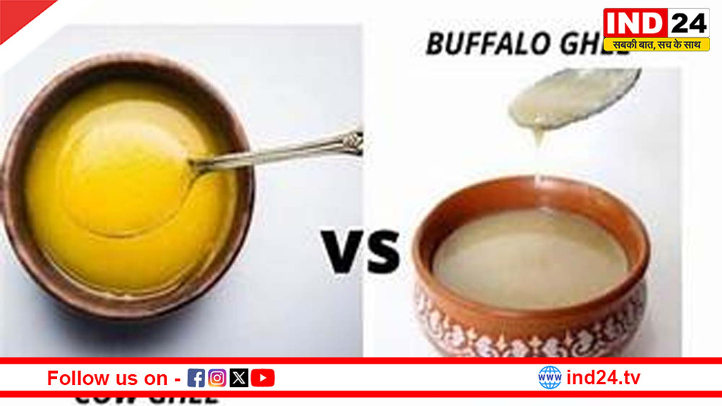 गाय का घी या शुद्ध देसी घी: सेहत के लिए कौन सा विकल्प बेहतर, जानिए पोषण और लाभों का अंतर