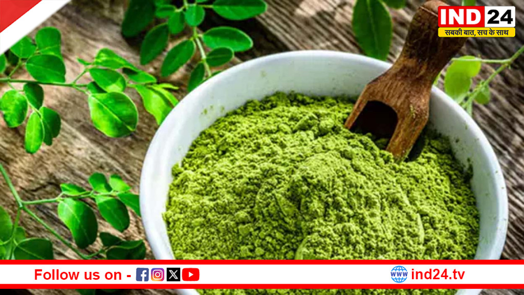 चमत्कारी हरा पाउडर: सहजन पत्ती सेहत का खजाना, पाचन से हृदय तक देता है संपूर्ण लाभ