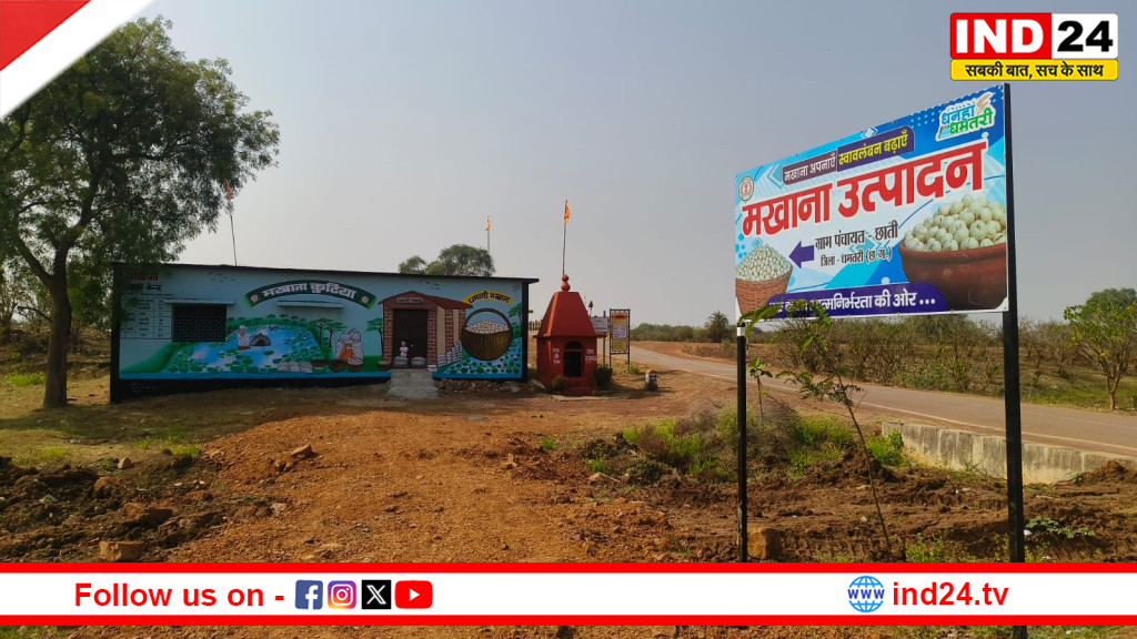 छोटी डबरियों से समृद्धि की ओर: धमतरी में मखाना खेती से महिलाओं को मिलेगी आर्थिक मजबूती