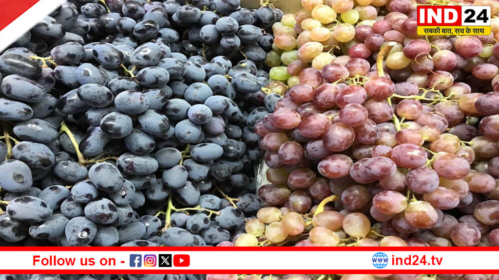 अंगूर पर दिखने वाली सफेद परत का रहस्य: क्या आप भी कर रहे हैं यह बड़ी गलती?