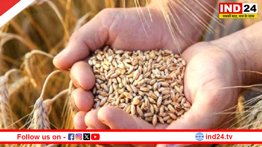 गेहूं-धान खरीद पर बढ़ा कमीशन: सरकार का बड़ा फैसला, आढ़तियों और समितियों को फायदा