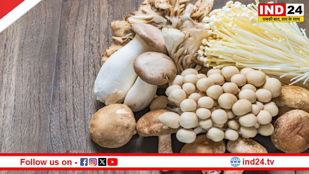 मशरूम खाने से शरीर में आते हैं ये चौंकाने वाले बदलाव, सेहत के लिए क्यों माना जाता है सुपरफूड