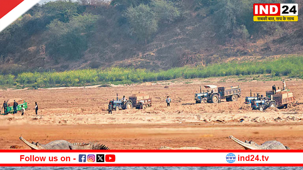 चंबल अभयारण्य में अवैध रेत खनन पर सर्वोच्च न्यायालय सख्त, संकट में घड़ियाल और गंगेटिक डॉल्फिन