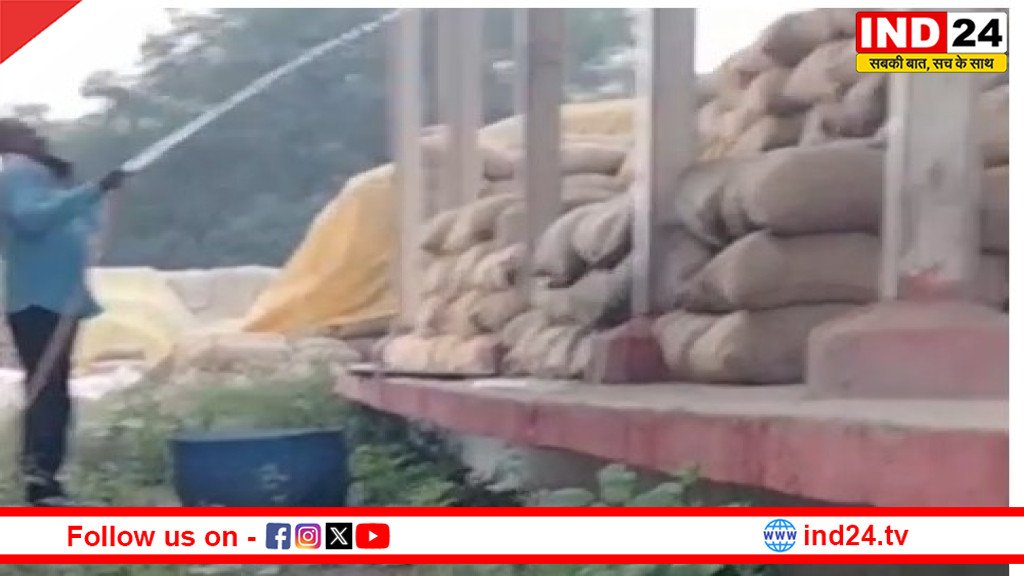 आरंग के भलेरा धान खरीदी केंद्र में गड़बड़ी का वीडियो वायरल, कलेक्टर ने गठित की जांच टीम