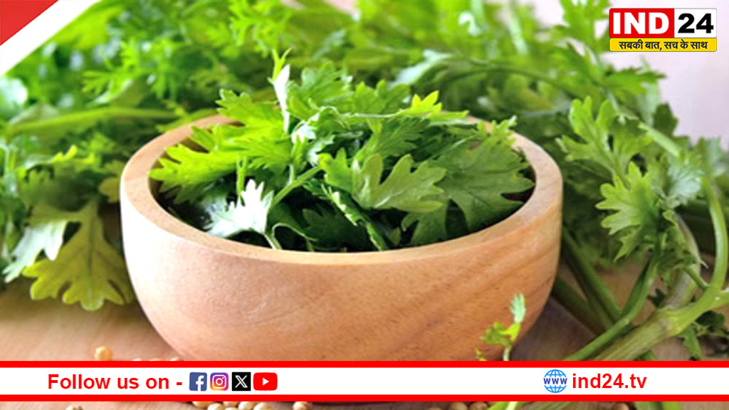 हरा धनिया सेहत के लिए किसी वरदान से कम नहीं, इन बीमारियों में देता है जबरदस्त फायदा