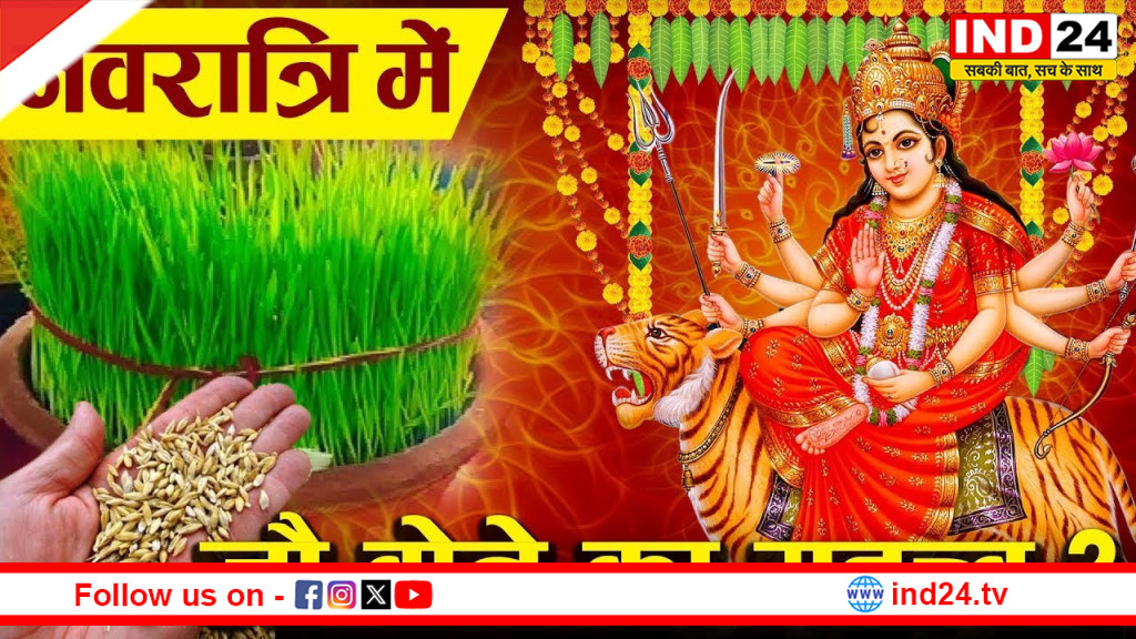 नवरात्र पूजा में जौ का विशेष महत्व, जानिए ब्रह्मा द्वारा इसे पहली फसल का दर्जा मिलने का रहस्य