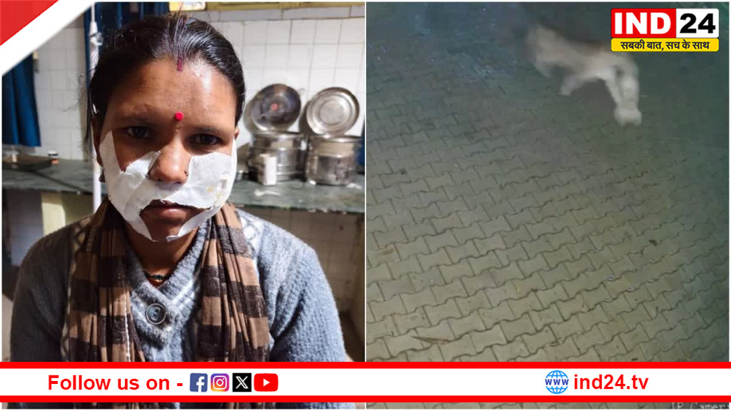 लोहाघाट में गुलदार का हमला: घास काटने जा रही महिला घायल, गांव में दहशत