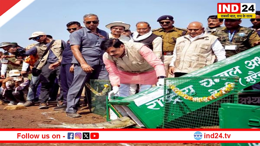 CM डॉ. मोहन यादव ने कूनो नदी में रिलीज किये घड़ियाल और कछुए, बोले-  वन्य-जीव संरक्षण और संवर्धन हमारी प्राथमिकता 