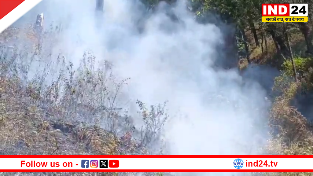 नैनीताल में जंगलों की भीषण आग से हड़कंप: 30 घंटे से धधक रही आग