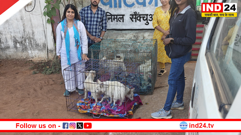 छत्तीसगढ़ में पहली बार सर्कस के जानवरों की जब्ती, PETA और वाटिका सैंक्चुअरी ने 5 कुत्तों को कराया रेस्क्यू