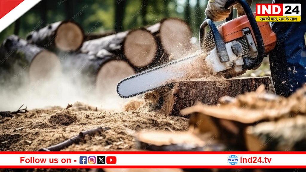 ग्रेट निकोबार परियोजना पर राहुल गांधी का हमला: ‘विकास नहीं, प्रकृति और आदिवासी विरासत के खिलाफ अपराध’